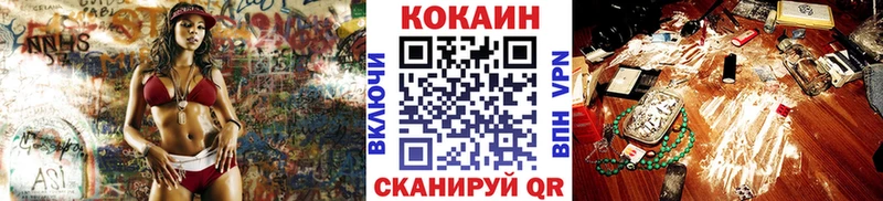 где можно купить   Шлиссельбург  КОКАИН Fish Scale 