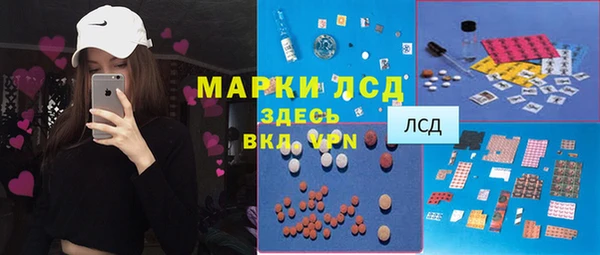 трава Тавда