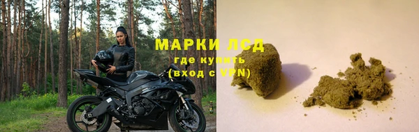 трава Тавда