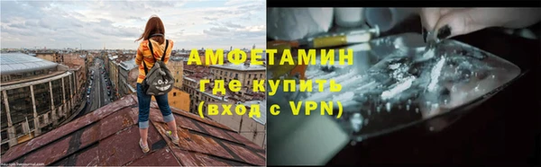 трава Тавда