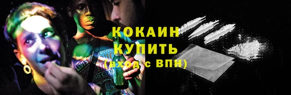 трава Тавда