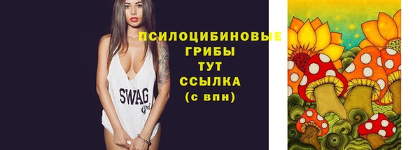 трава Тавда