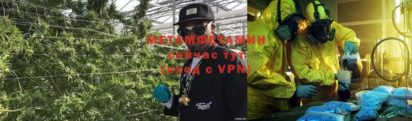 трава Тавда