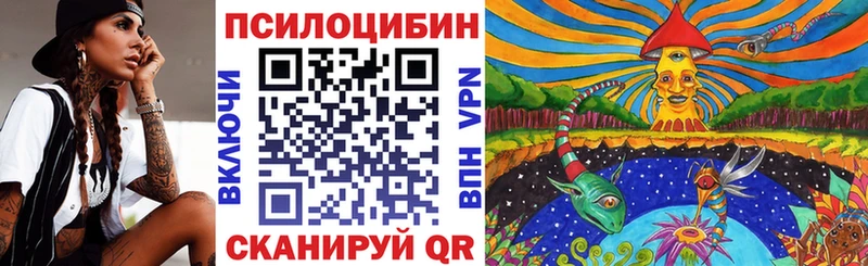 закладки  Шлиссельбург  Галлюциногенные грибы Psilocybine cubensis 